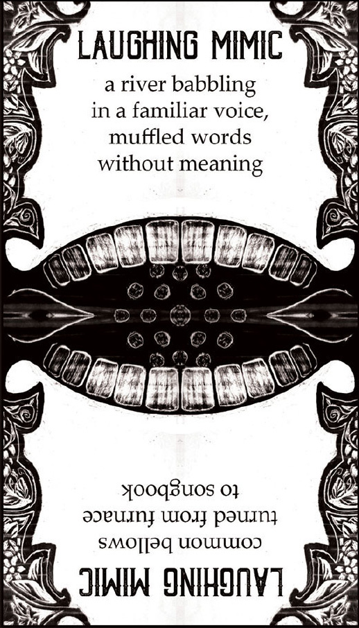 Laughing Mimic Spindlewheel card